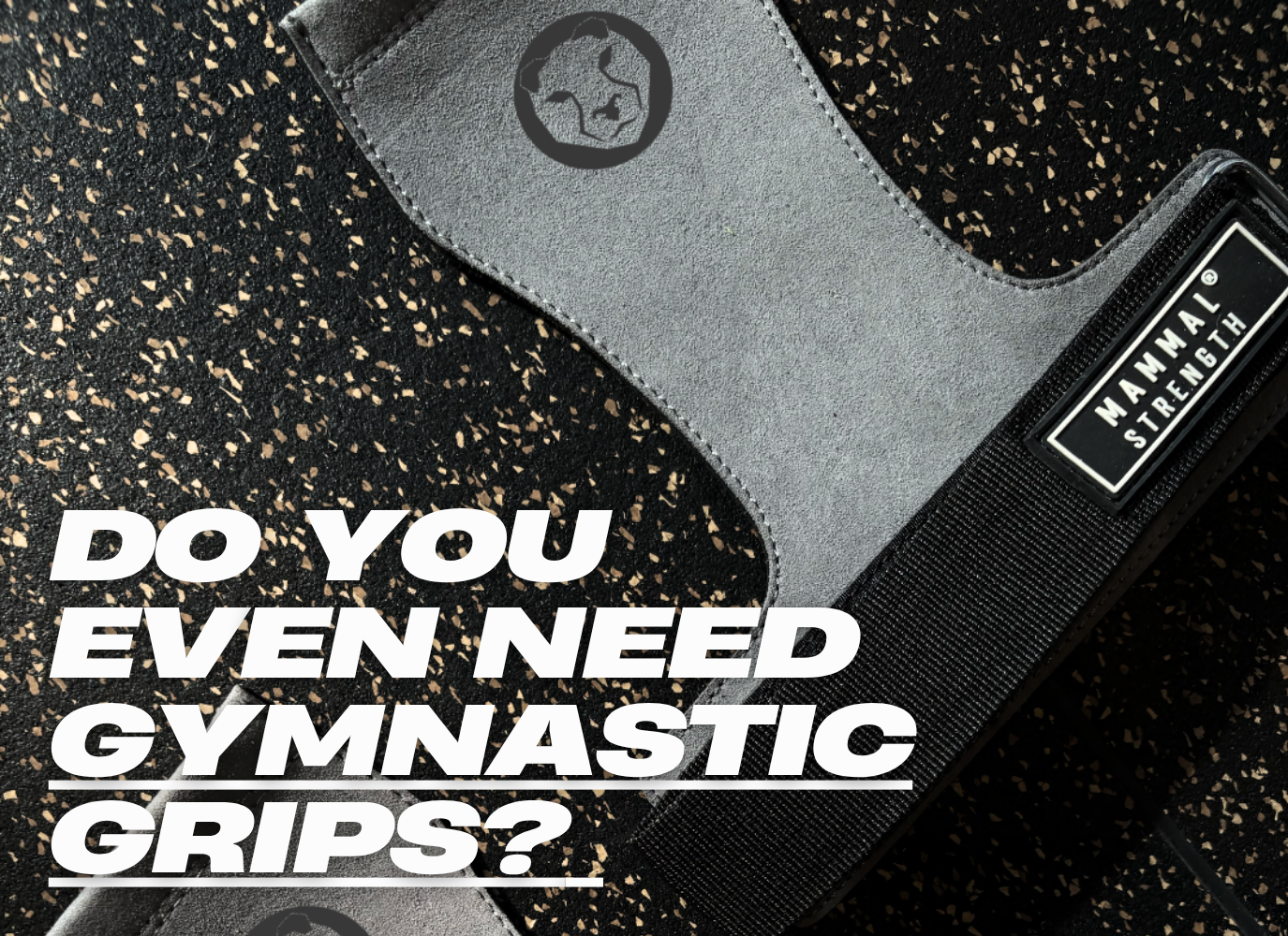 Do You Even Need Gymnastic Grips? (If You Want Your Hands Intact — Yes.)