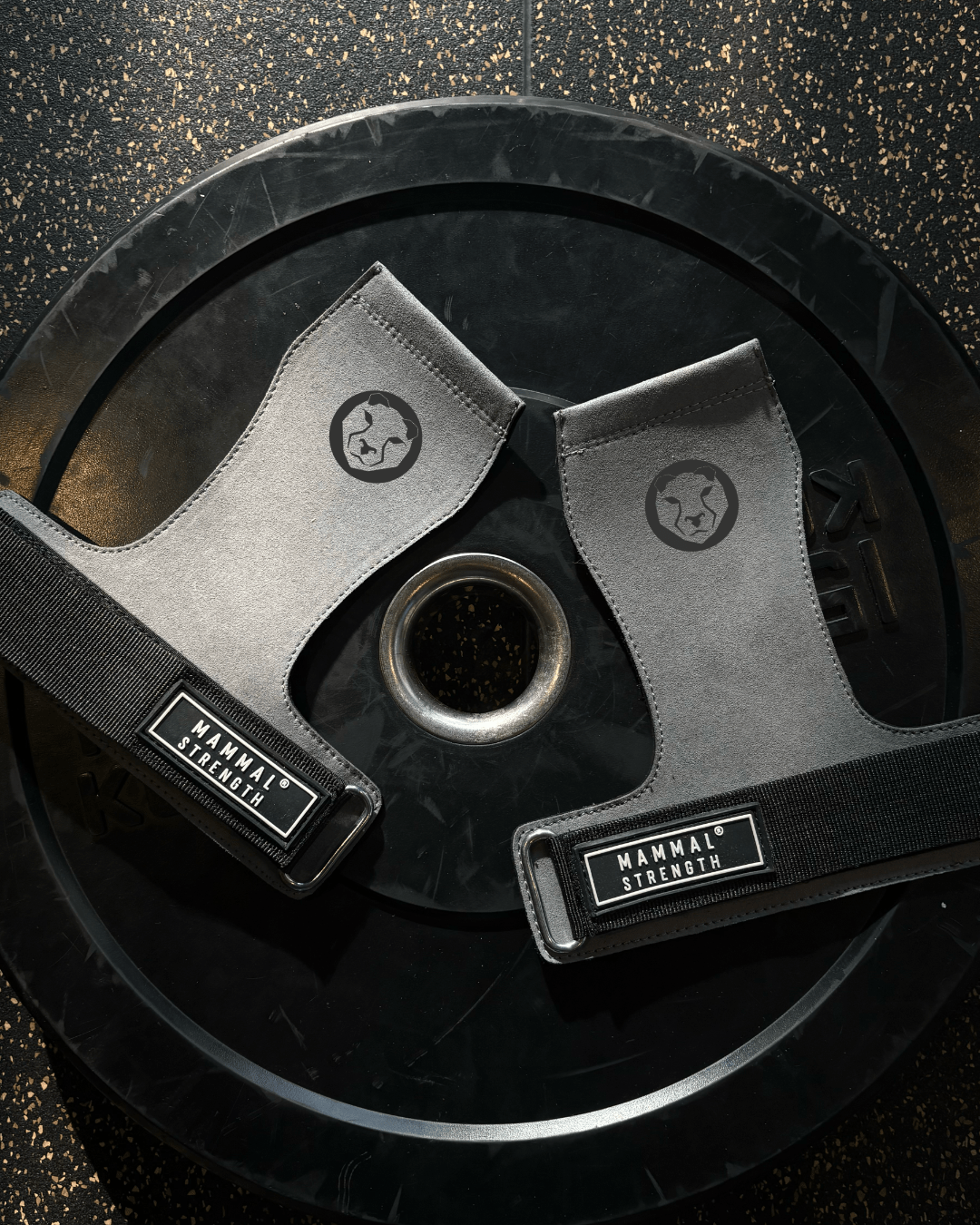 Best Sellers Bundle - Mammal Strength