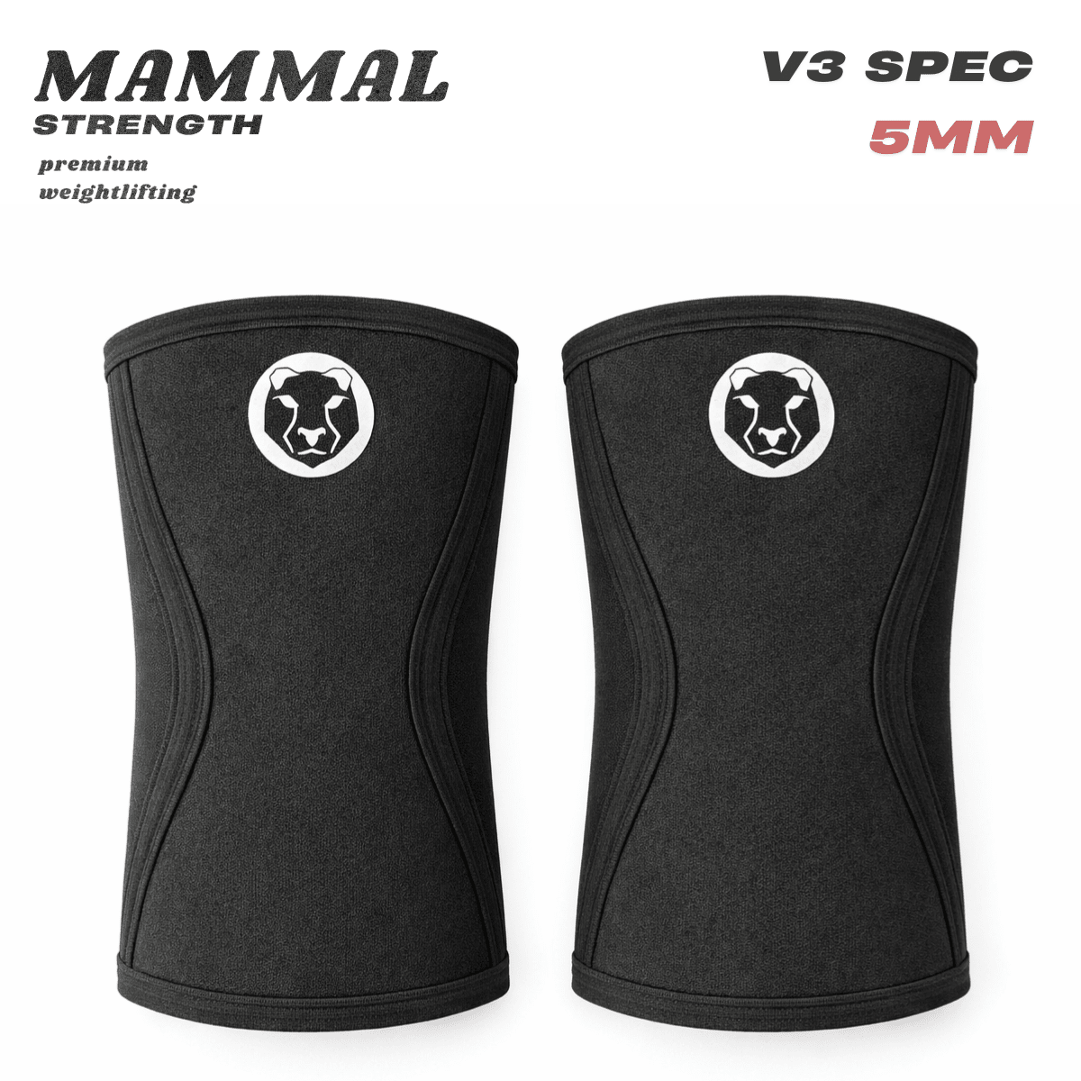 V3 5mm neoprene knee sleeves for training running and everyday support ā Mammal Strength