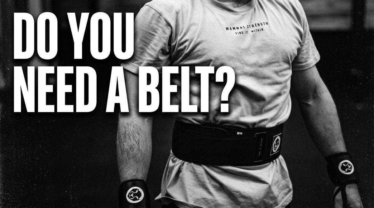 Do You Actually Need a Weightlifting Belt? The Honest Answer