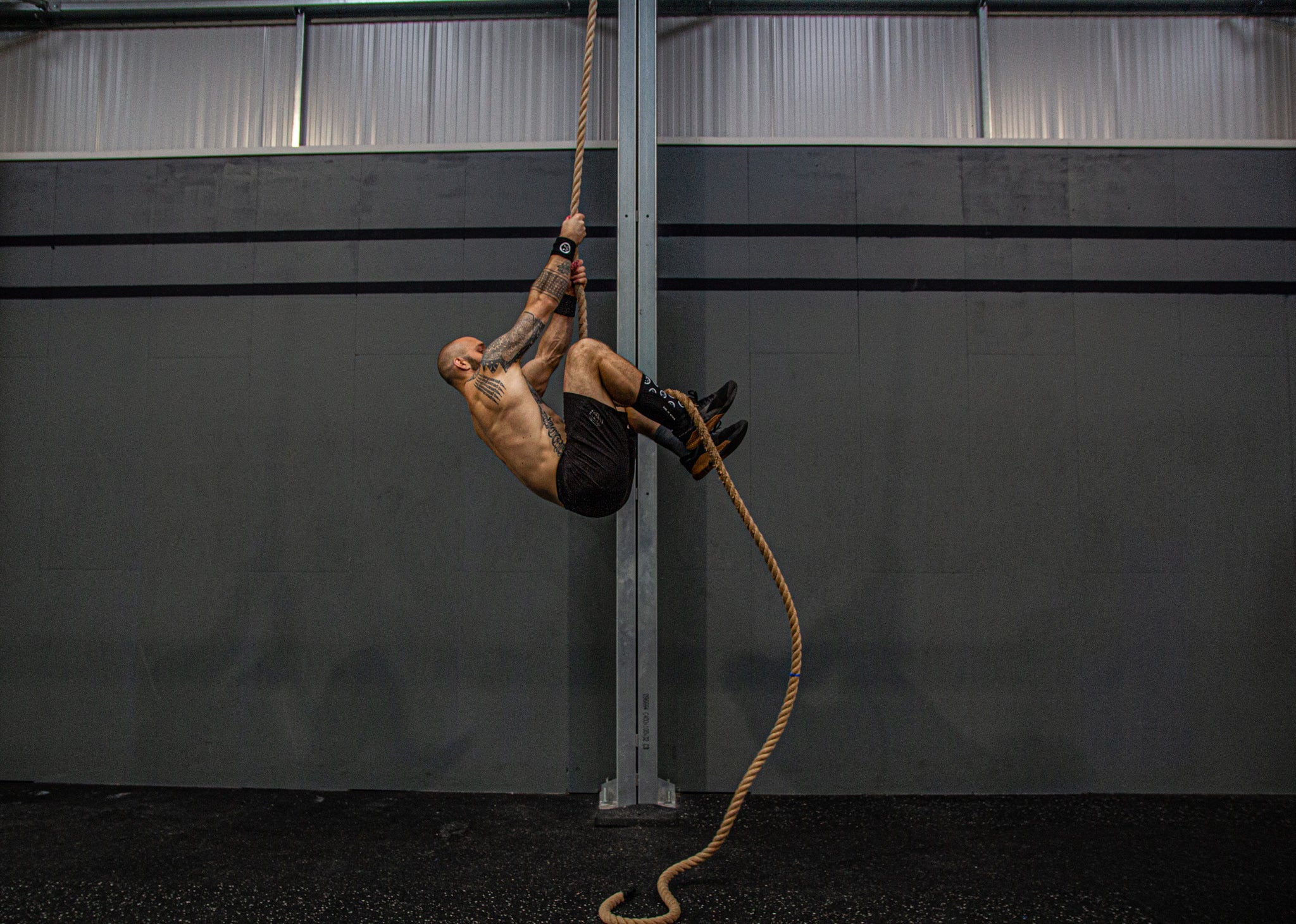 Mammal Strength training gear including knee sleeves, weightlifting straps, hand grips, belts, and gym accessories