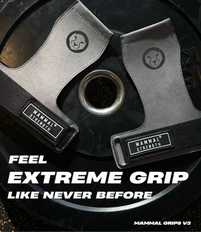 Extra Grippy Gymnastics Hand Grips 