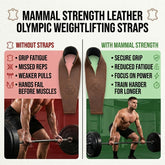 Mammal Olympic lifting straps, key features infographic