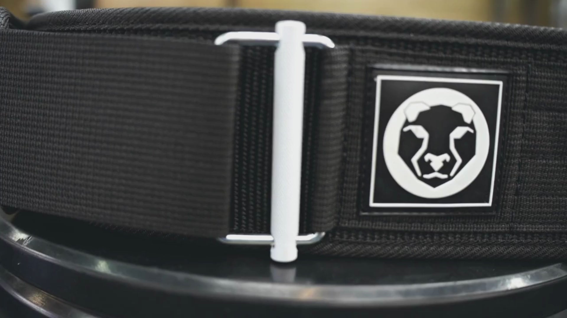 Mammal Strength "4 Nylon Weightlifting Belt | Mammal Strength
