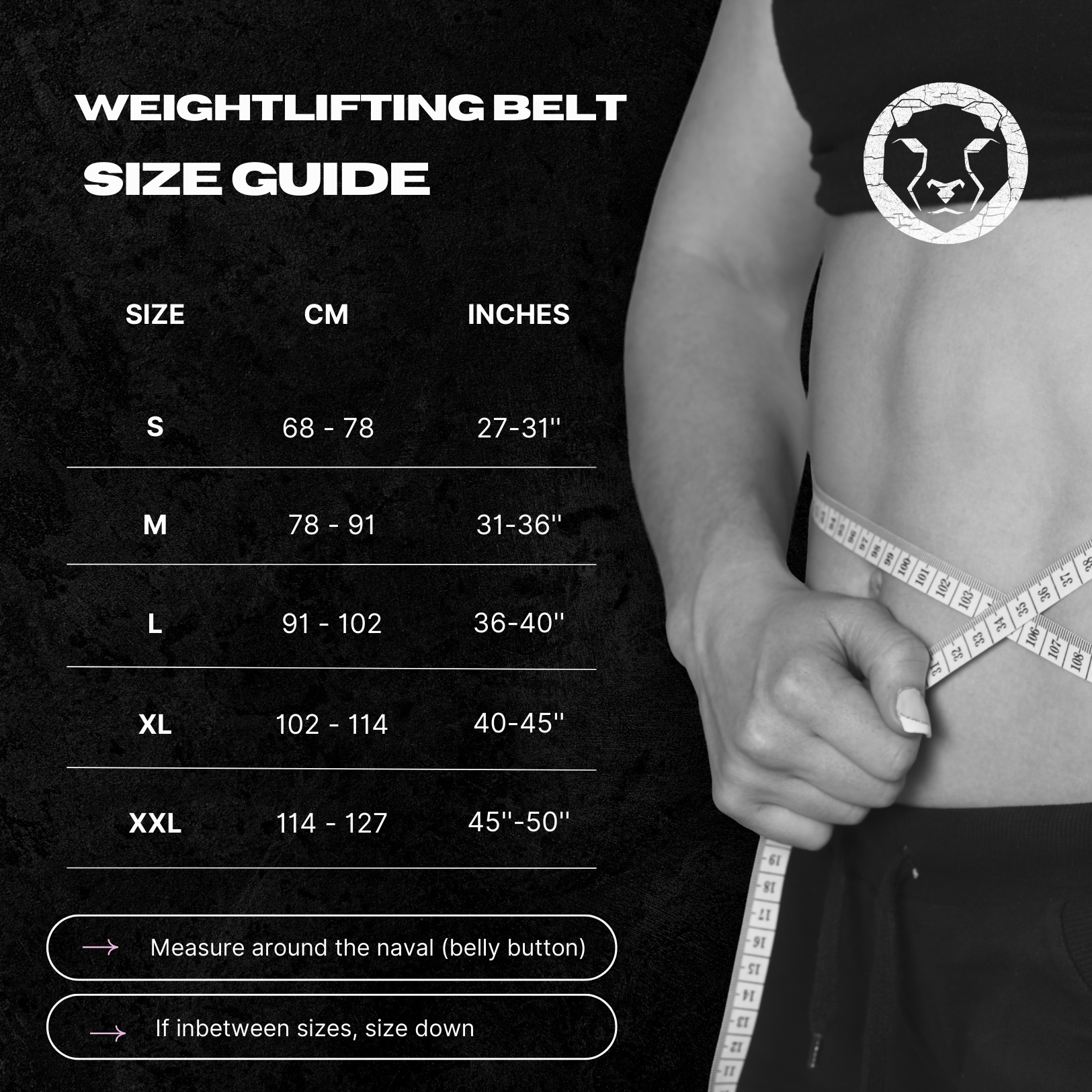 Mammal Strength "4 Nylon Weightlifting Belt - Mammal Strength
