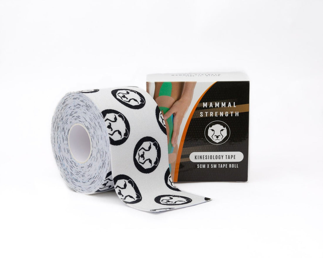 Kinesiology tape 1-pack for muscle support and movement recovery – Mammal Strength