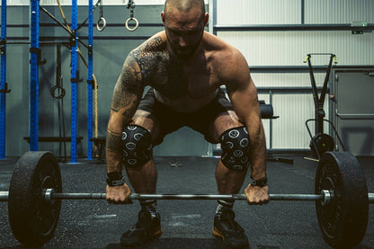 Mammal Strength Knee Sleeves V2 &