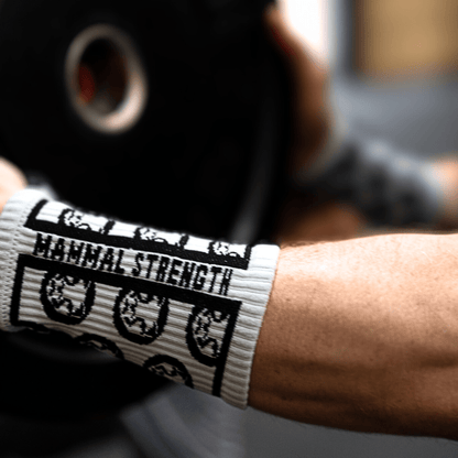 Mammal Strength Long Wristbands 15cm / 6 inches (United States) - Mammal Strength