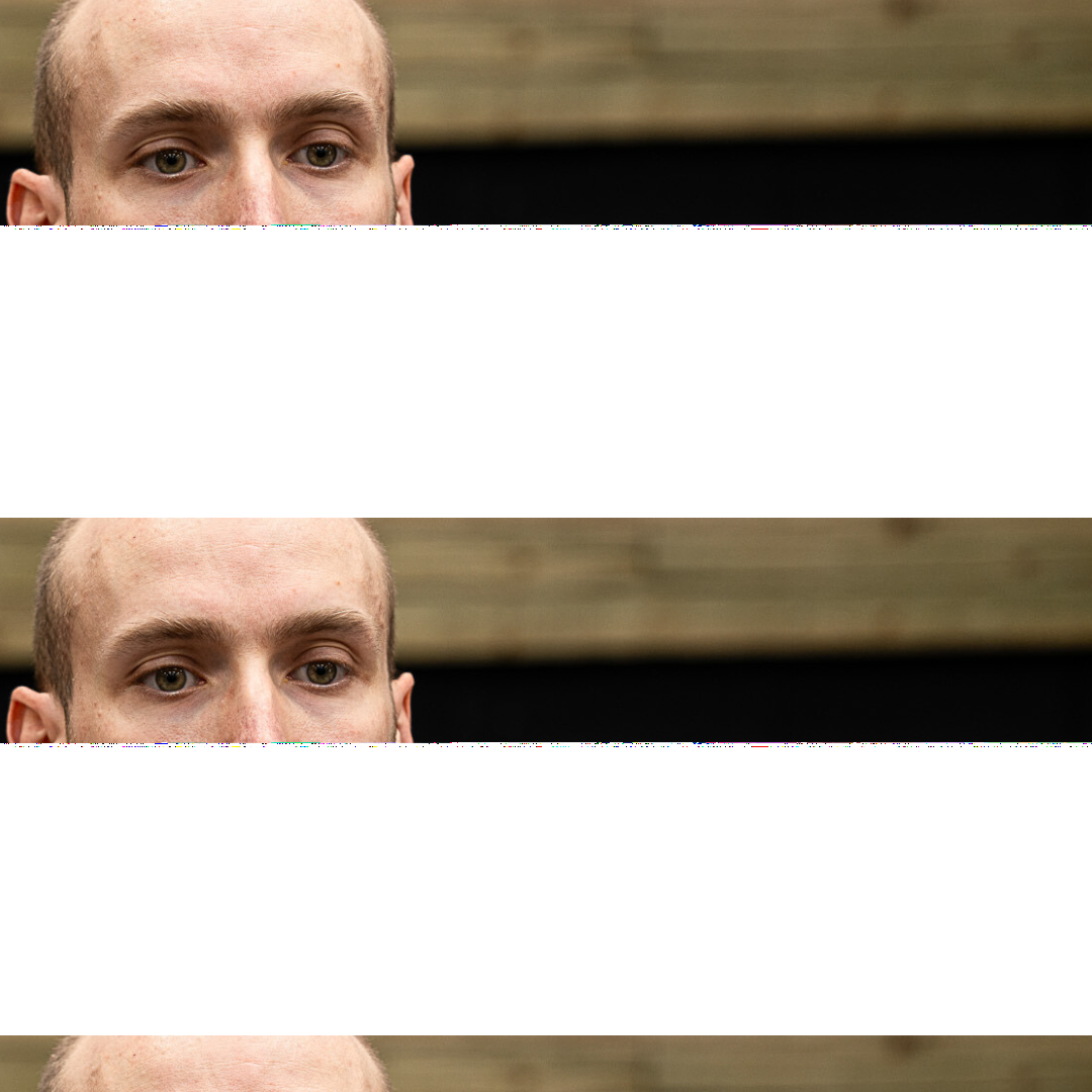 Mammal Strength Long Wristbands 15cm / 6 inches (United States) - Mammal Strength